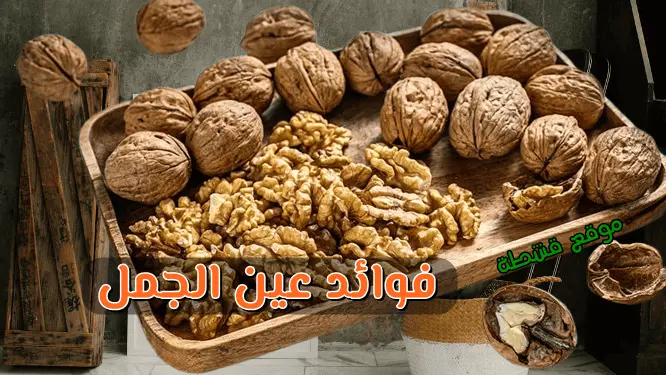 الفوائد الصحية لتناول الجوز عين الجمل